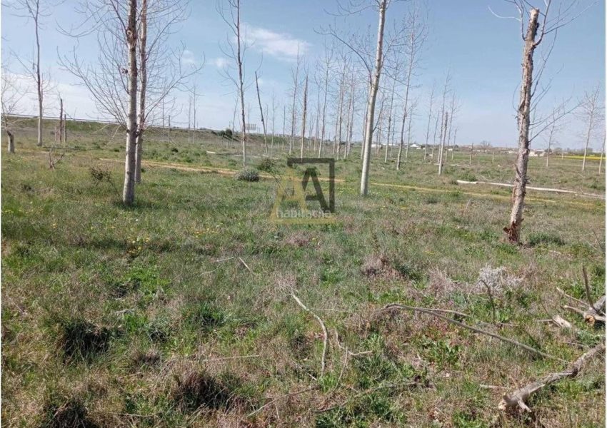 terreno-rustico-con-pozo-de-agua-legalizado-proximo-a-vistalegre-zamora_a9f9d291-2ecb-4740-b56e-5f7c45f6a75cXL